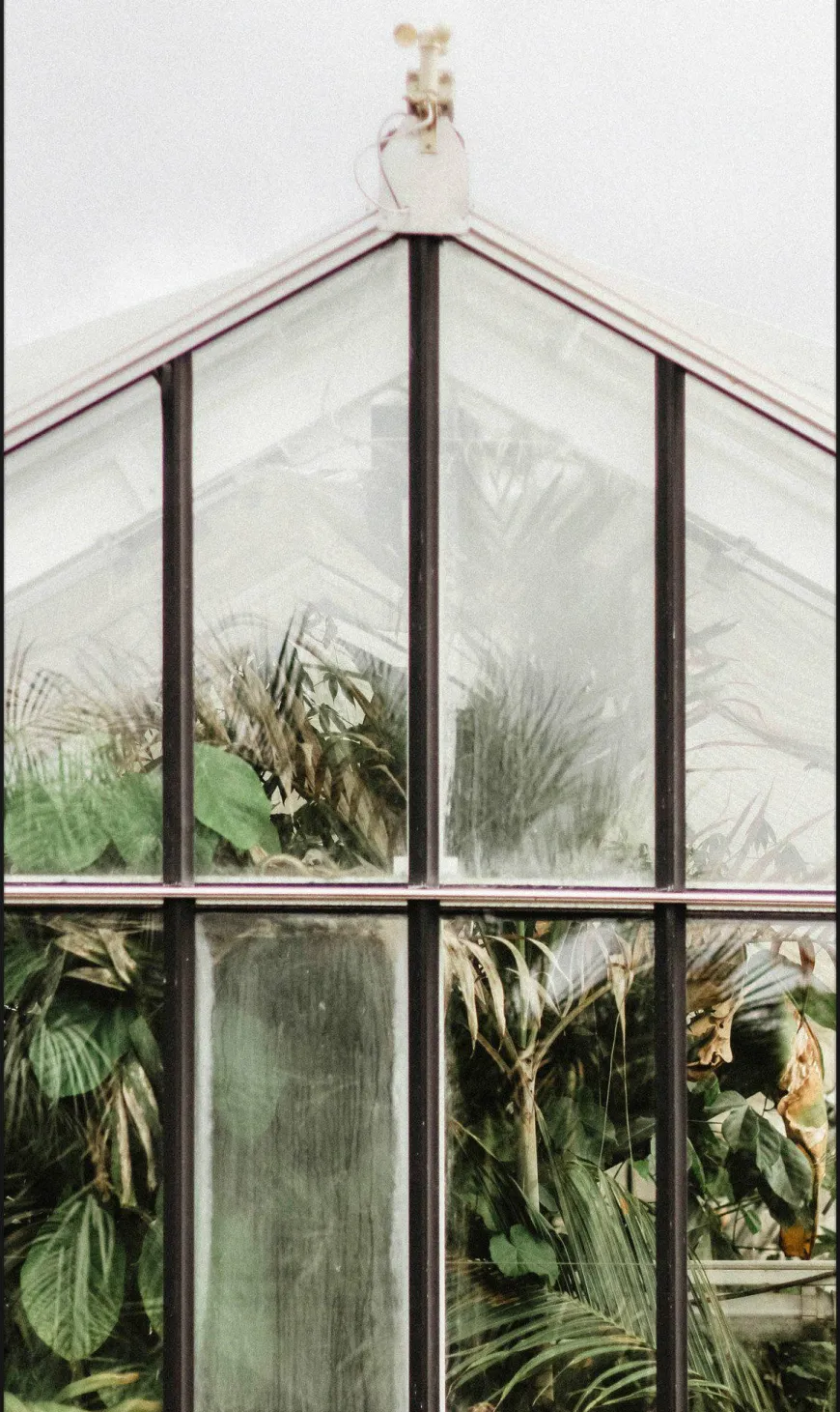 Wandkraft Botanical Stories 012