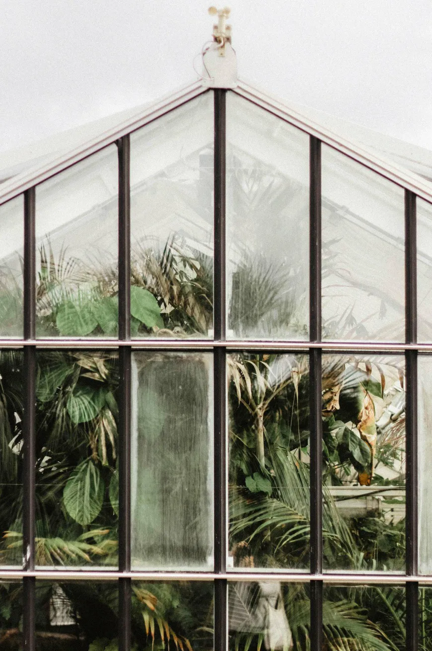 Wandkraft Botanical Stories 012