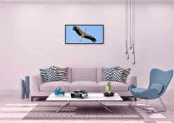 Wandkraft Bright Wings 021