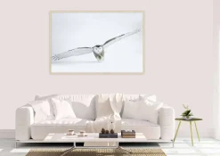 Wandkraft Bright Wings 008