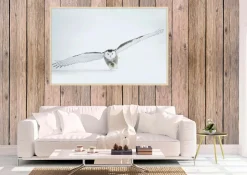 Wandkraft Bright Wings 008