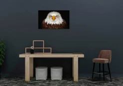 Wandkraft Bright Wings 015