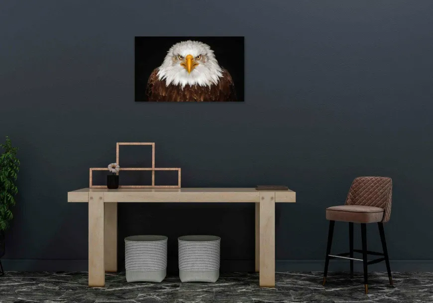 Wandkraft Bright Wings 015