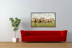Wandkraft Curious Cows