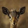 Wandkraft European Wildlife 010