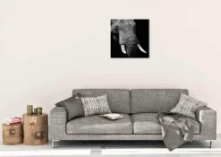 Wandkraft Faces 023 - Faces 74 x 74 cm