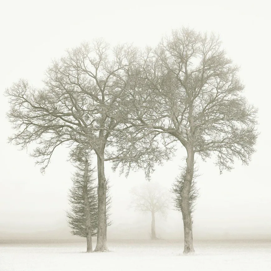 Wandkraft Ineen