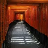 Wandkraft Land of the Rising Sun 032