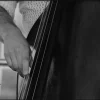 Wandkraft Music 004