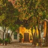 Wandkraft Night in Sevilla