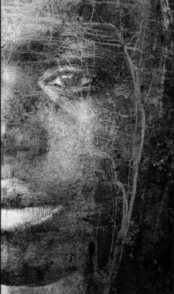 Wandkraft Reminiscence