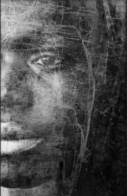 Wandkraft Reminiscence