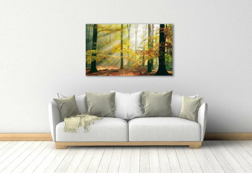 Wandkraft Sinfonia dela Foresta