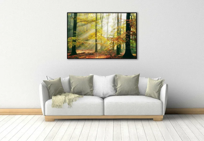Wandkraft Sinfonia dela Foresta