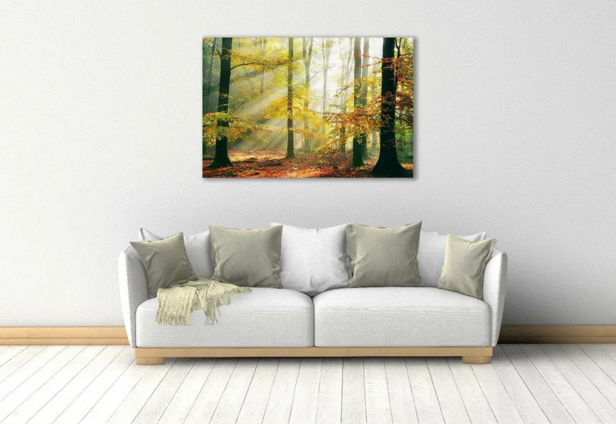 Wandkraft Sinfonia dela Foresta