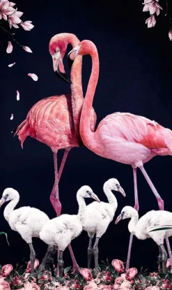Wandkraft The Flamingo Family