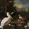 Wandkraft The floating feather by Melchior d'Hondecoeter