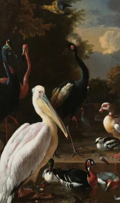 Wandkraft The floating feather by Melchior d'Hondecoeter