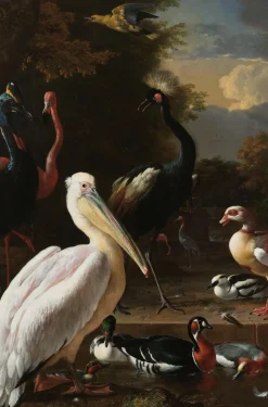 Wandkraft The floating feather by Melchior d'Hondecoeter