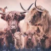 Wandkraft The Highlander Family