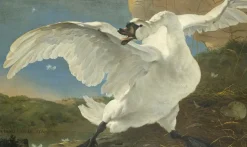 Wandkraft The Threatened Swan by Jan Asselijn