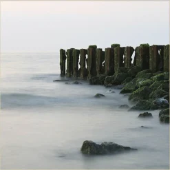 Wandkraft Travel Stories 021