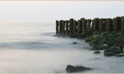 Wandkraft Travel Stories 021