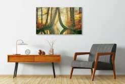 Wandkraft Waterjuffers