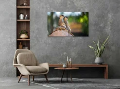 Wandkraft Wildlife 017