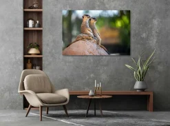 Wandkraft Wildlife 017