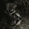 Wandkraft Wildlife 003