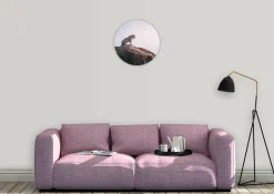 Wandkraft Wildlife 013 rond