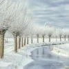 Wandkraft Winter in Holland