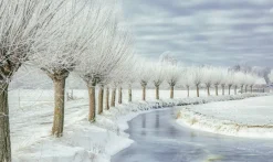 Wandkraft Winter in Holland