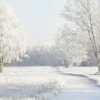 Wandkraft Winter Meadow