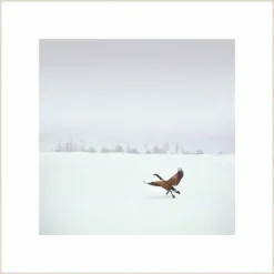 Wandkraft Winter Wonders 000
