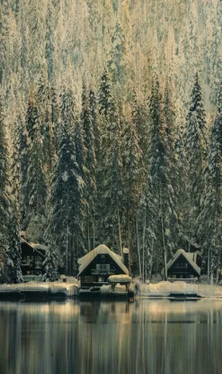 Wandkraft Winter Wonders 001