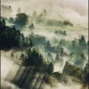 Wandkraft Winter Wonders 003