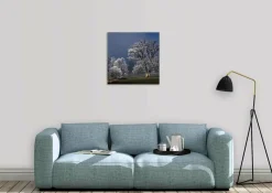 Wandkraft Winter Wonders 007