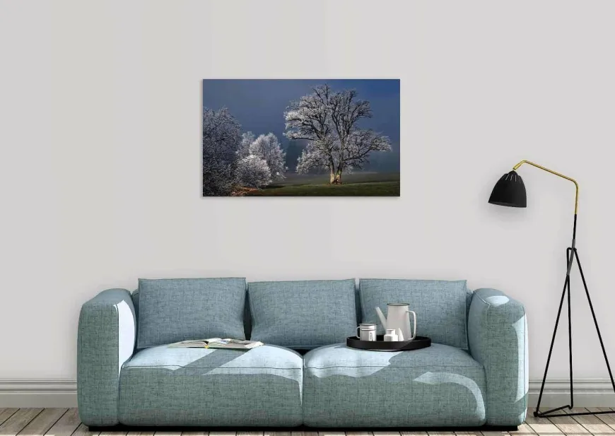 Wandkraft Winter Wonders 007