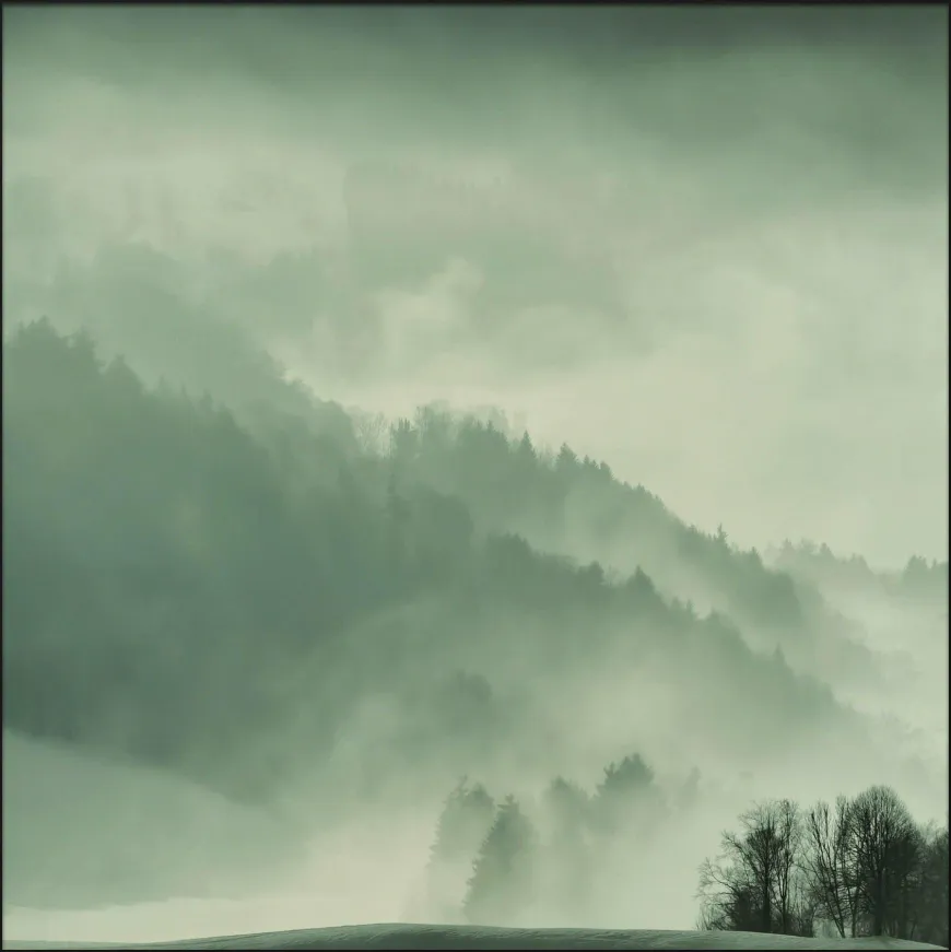 Wandkraft Winter Wonders 004