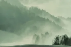 Wandkraft Winter Wonders 004