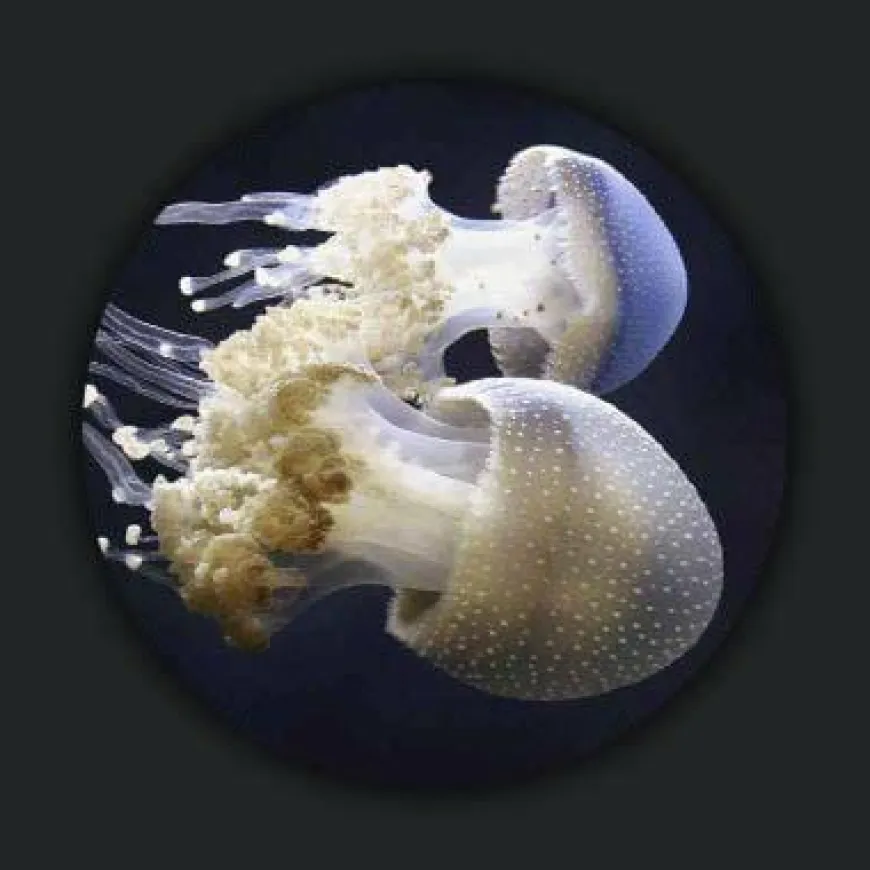 Wandkraft Wonderful Life 014
