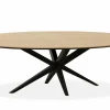 WoonMax Eettafel Wellington Ovaal uitschuifbaar Lamulux - Diverse kleuren en afmetingen