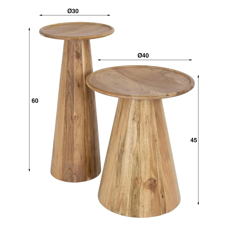 WoonStijl Bijzettafel set van 2 Cone