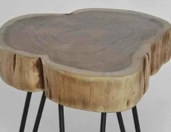 WoonStijl Bijzettafel Stam Ø 32 cm