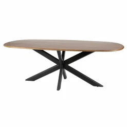 WoonStijl Eetkamertafel 215 Cliff ovale buis mango
