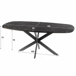 WoonStijl Eettafel 180 deens ovaal Metallic