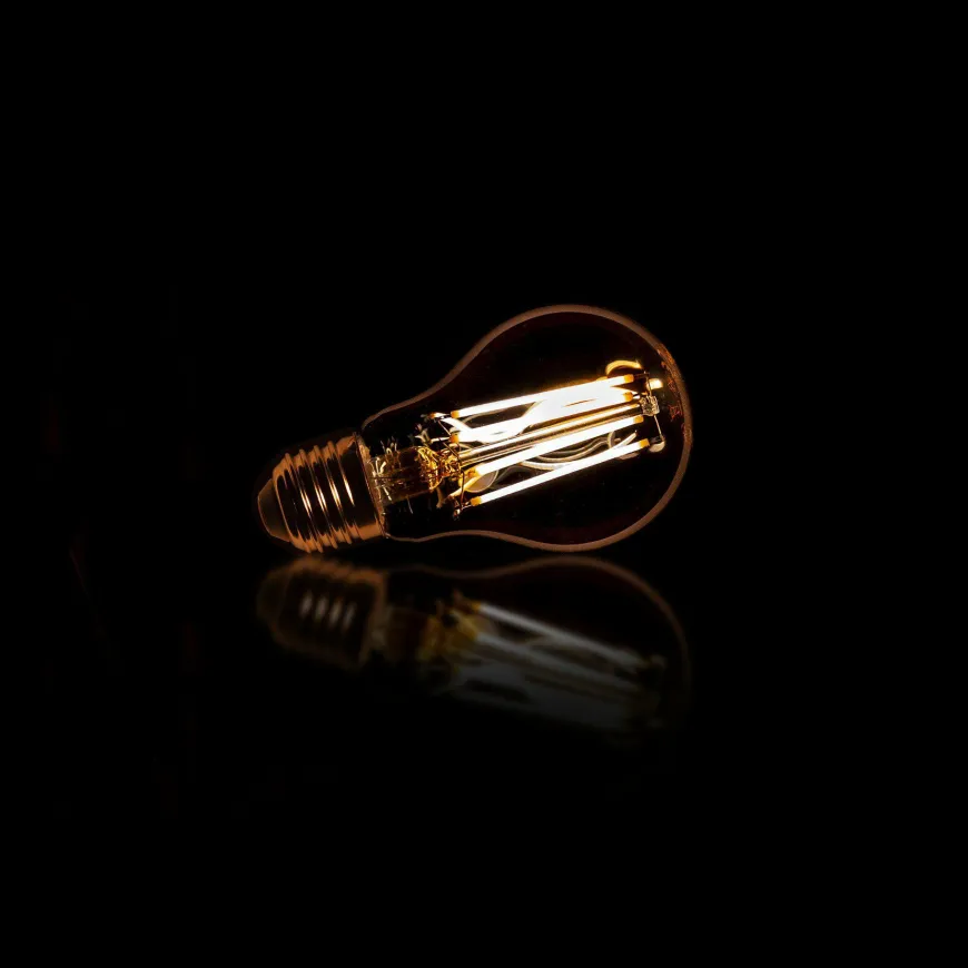 WoonStijl Lichtbron LED filament peer