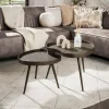 WoonStijl Salontafel Contour niervormig set van 2